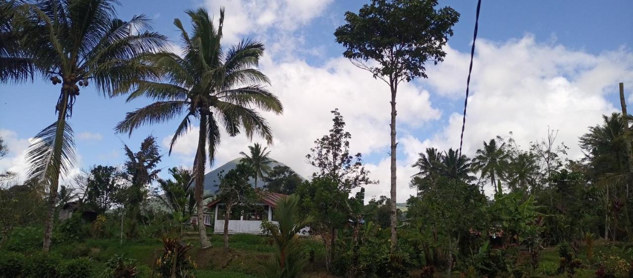 Talaga Tomohon Home Stay And Fishing Pond Екстериор снимка