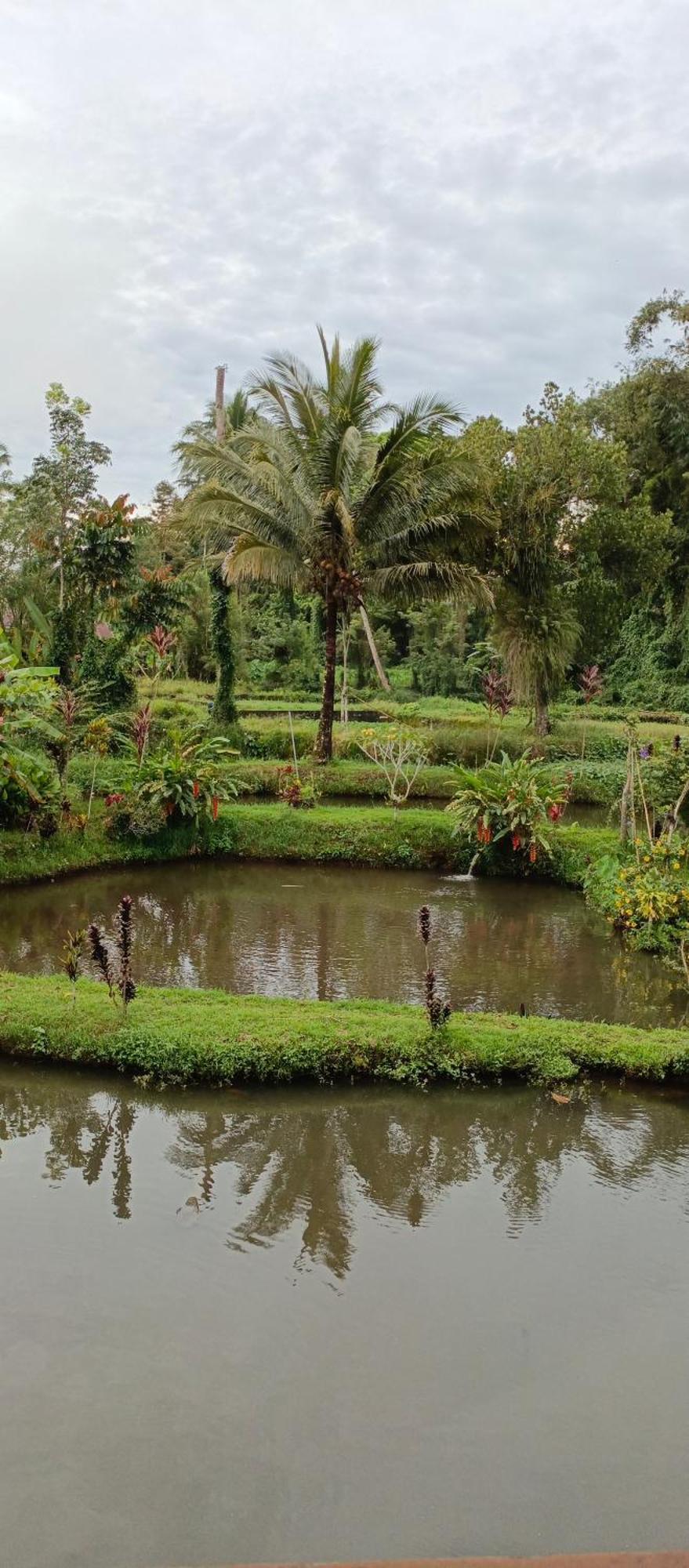 Talaga Tomohon Home Stay And Fishing Pond Екстериор снимка