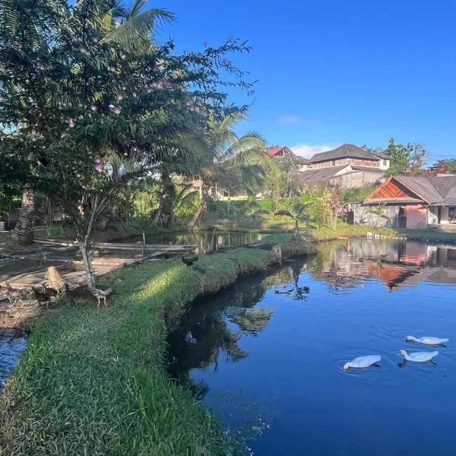 Talaga Tomohon Home Stay And Fishing Pond Екстериор снимка